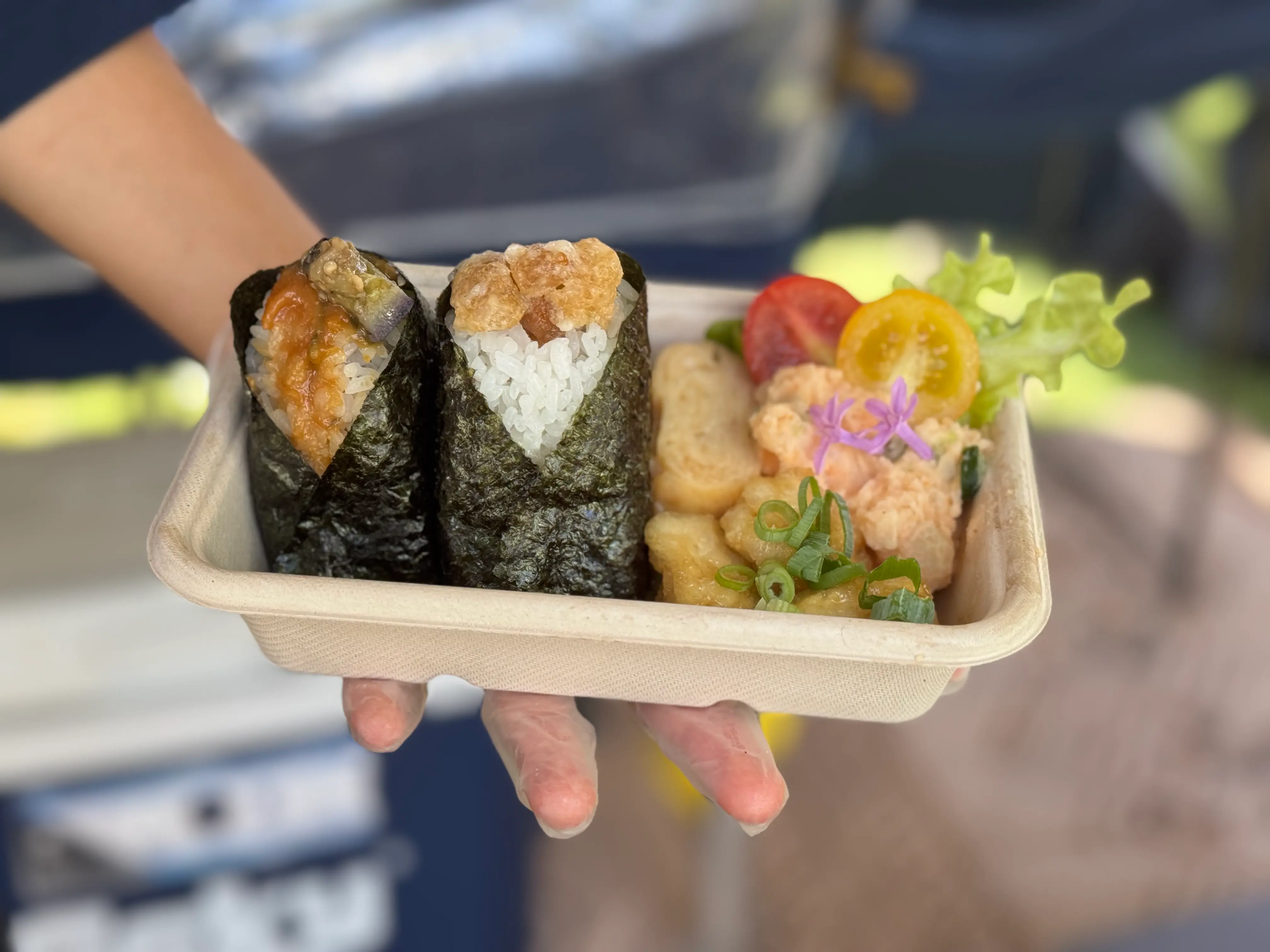 Pocket Rice Japanese rice balls wrapped with nori