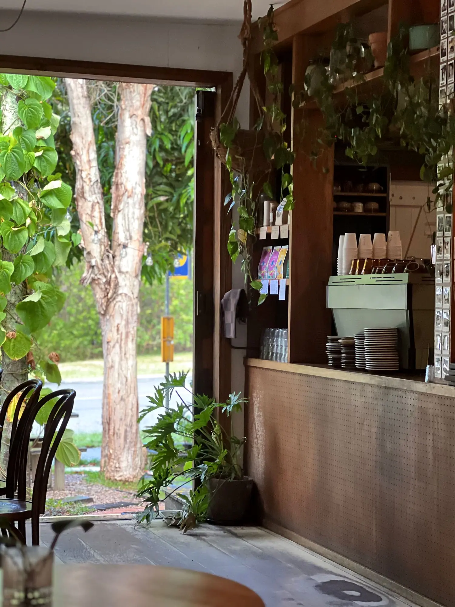 The plant-filled timber counter at Folk Byron Bay looking out to gum trees
